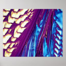 Search for natural sciences posters Chemistry