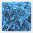 Search for ice crystal stickers Frost