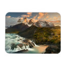 Search for paine magnets Photography