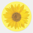 Search for light yellow stickers Sunflowers