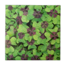 Search for four leaf clover tiles Lucky