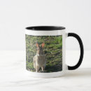 Search for wild hare mugs Bunny