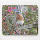 Search for spring mousepads Birds