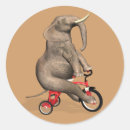 Search for tricycles stickers Trike