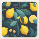 Search for citrus fruit coasters Summer