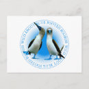 Search for galapagos islands travel postcards Souvenir