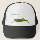 Search for grasshopper hats Cricket
