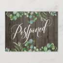 Search for eucalyptus postcards Botanical