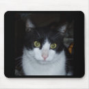 Search for original cat mousepads Unique