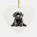 Search for giant schnauzer christmas tree decorations Animal