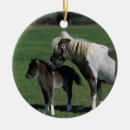 Search for miniature horse christmas tree decorations Standing