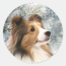 Search for sable stickers Dog