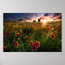 Search for blankets posters Flower