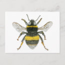 Search for bee illustration postcards Bumblebee