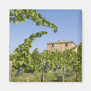 Search for grape magnets Viticulture