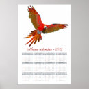 Search for ara posters Wildlife