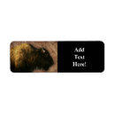 Search for bison return address labels Buffalo