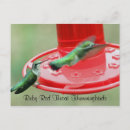 Search for hummer postcards Birds