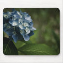 Search for blue hydrangeas mousepads Flowers