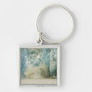 Search for passage key rings Ocean