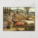 Search for minos Cassoni