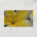 Search for frangipani business cards Yellow