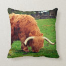 Search for highland cow cushions Horns