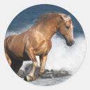 Search for palomino stickers Fantasy