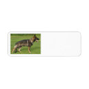 Search for german shepherds return address labels Pets