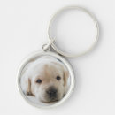 Search for golden labrador retriever key rings Animal