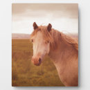 Search for horse plaques Vintage