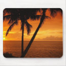 Search for tree key electronics Ocean