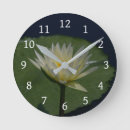 Search for lily pad clocks Water