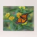Search for weed puzzles Butterfly