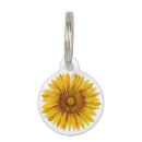 Search for sunflower pet tags Bright