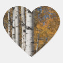Search for aspen leaf stickers Tree