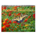 Search for beautiful butterflies office supplies Wildlife