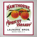 Search for brandi posters Food