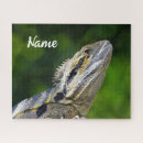 Search for australian wildlife puzzles Reptile