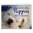 Search for english bulldog office supplies Animal