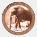 Search for african elephant stickers Zoo