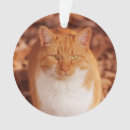 Search for orange tabby cat christmas tree decorations Meow