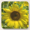 Search for placemats coasters Sunflower