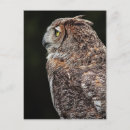 Search for horned postcards Raptor