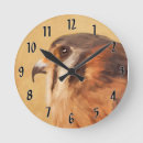 Search for kestrel art Falcon