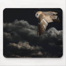 Search for owl images electronics Night