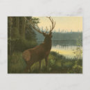 Search for hunting lodge postcards Nature