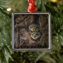 Search for birds nest christmas tree decorations Woods