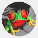 Search for big eyes stickers Frog