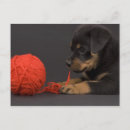 Search for baby kids postcards Pet